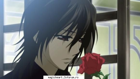 Kaname Kuran - vampire_girl - Vampire Knight